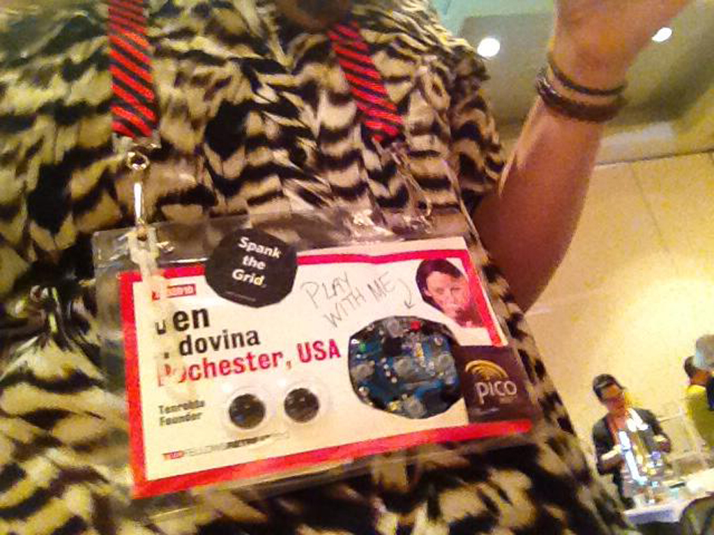 Tenrehte CEO Jennifer Indovina at TED Fellows Retreat 2013